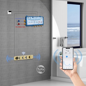 WiFi APP OEM ODM Thermostatic Digital Bathroom Mixer Valve